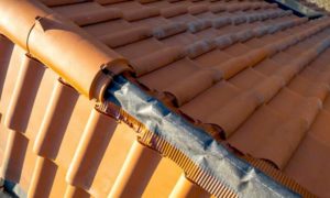 HAR COUVREUR SARTHE : Travaux de charpente, couverture, zinguerie, faîtage, Nettoyage démoussage et peinture hydrofuge toiture, Ravalement Façade, pose de bardage, petite maçonnerie … intervention dans la Sarthe : Le Mans 72 ….